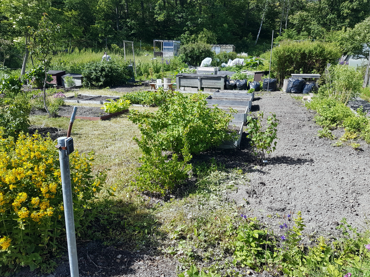 Södra sidan   [2017-06-19]